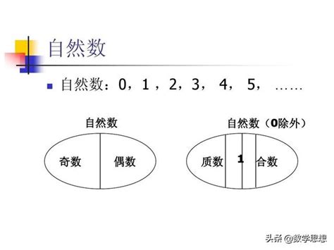 個數是什麼|基礎數學/自然數